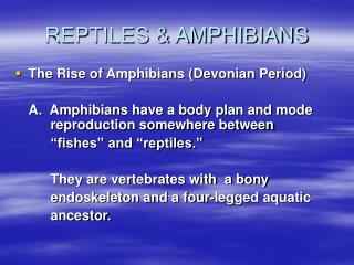 REPTILES &amp; AMPHIBIANS