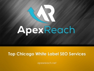 Top Chicago White Label SEO Services - Apexreach.net
