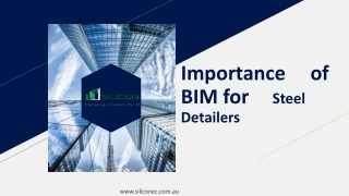 Importance of BIM for steel detailers