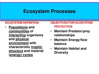 Ecosystem Processes