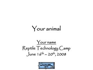 Your animal