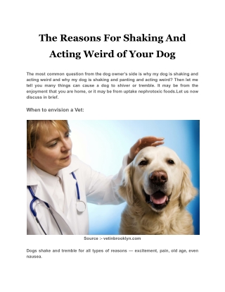 The Reasons For Shaking And Acting Weird of Your Dog