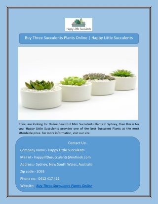 Buy Three Succulents Plants Online | Happy Little Succulents