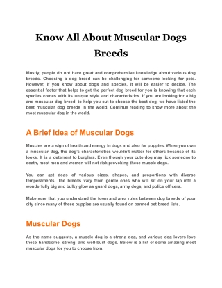 Know All About Muscular Dogs Breeds