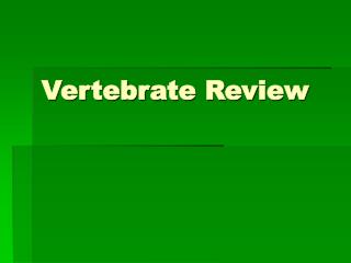 Vertebrate Review