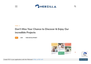 Find out our past web development projects - Webzilla