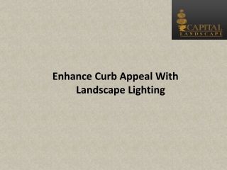 Enhance Curb Appeal With Landscape Lighting
