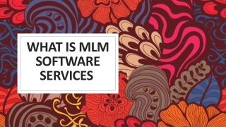 What is MLM Software Services