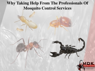 Why Taking Help From The Professionals Of Mosquito Control Services