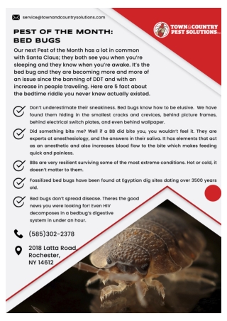exterminator syracuse ny | syracuse termite control