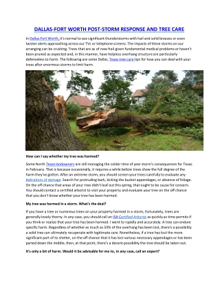 DALLAS-FORT WORTH POST-STORM RESPONSE AND TREE CARE