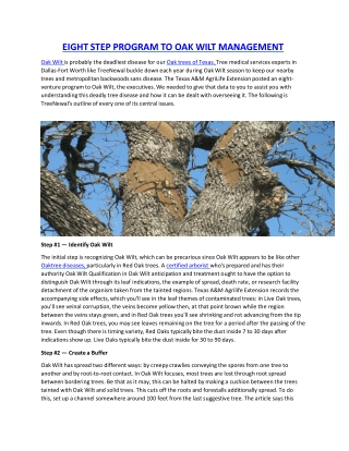 EIGHT STEP PROGRAM TO OAK WILT MANAGEMENT