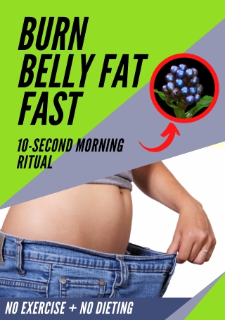 Tips on How To Lose Belly Fat