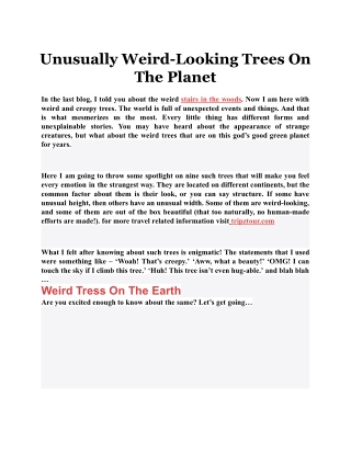 Unusually Weird-Looking Trees On The Planet