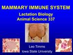 MAMMARY IMMUNE SYSTEM Lactation Biology Animal Science 337
