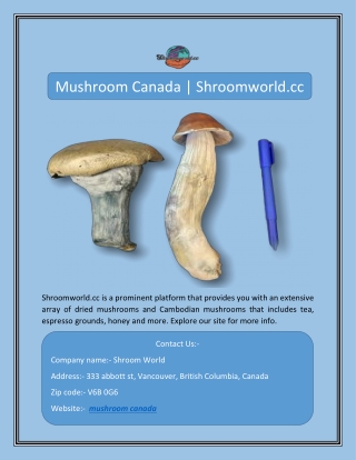 Mushroom Canada | Shroomworld.cc