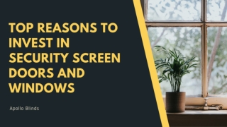 TOP REASONS TO INVEST IN SECURITY SCREEN DOORS AND WINDOWS