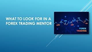What to Look For in a Forex Trading Mentor