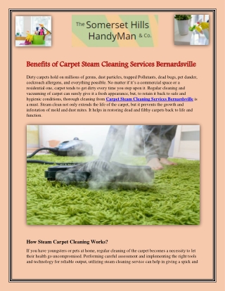 Best Carpet Steam Cleaning Services in Bernardsville, NJ