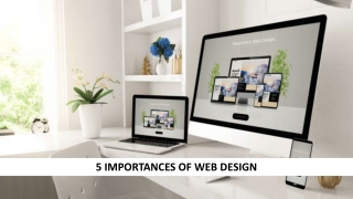 5 Importance Of Web Design