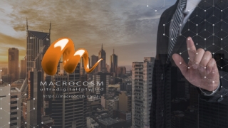 Macrocosm Ultra Digital - Presentation (July2021)