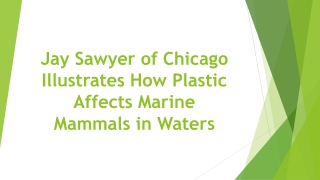 Jay Sawyer of Chicago Illustrates How Plastic Affects Marine Mammals in Waters