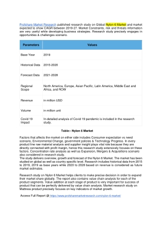 Nylon 6 Market