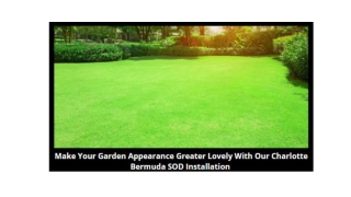 Make Your Garden Appearance Greater Lovely With Our Charlotte Bermuda SOD Installation