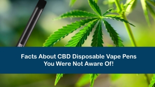 Facts About CBD Disposable Vape Pens You Were Not Aware Of!