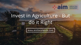Invest in Agriculture - But do it Right