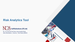 Risk Analytics Tool