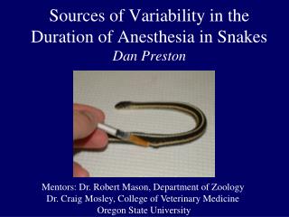 Sources of Variability in the Duration of Anesthesia in Snakes Dan Preston