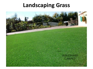 Landscaping Grass