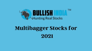 Top Multibagger Stocks for 2021 at Bullish India