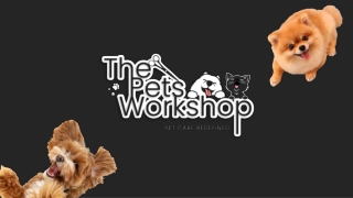 PPT-The Pets Workshop