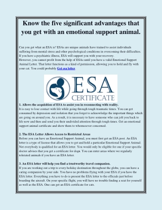 Know the 5 significant advantages that you get with an emotional support animal.
