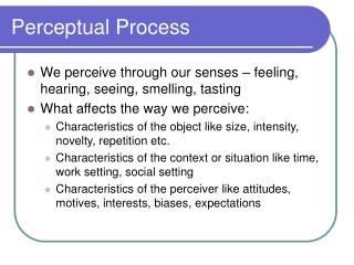 Perceptual Process