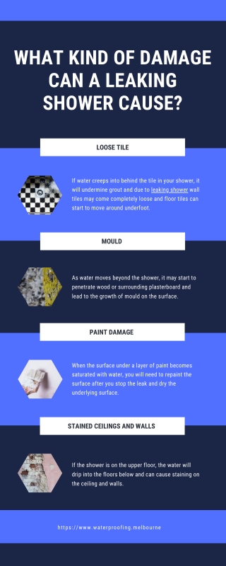 What Kind of Damage Can A Leaking Shower Cause - Infographics