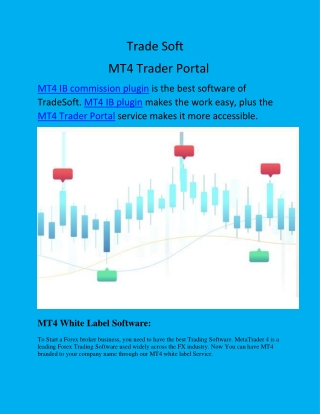 MT4 Trader Portal