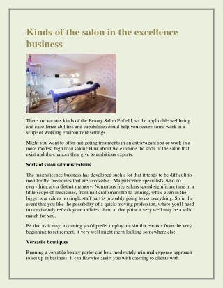 Kinds of the salon in the excellence business