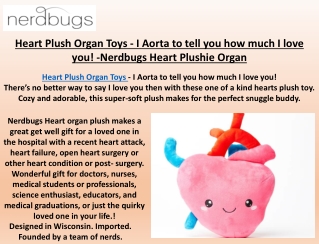 Lung Plush Organ Toys - Lung Plushie Toys - Human Organs Plush Toy