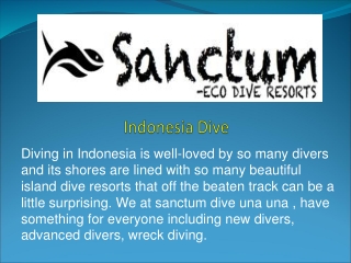 Indonesia Dive