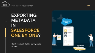 Bulk Export Salesforce metadata in one go using BOFC Application