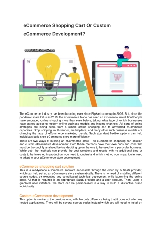eCommerce Shopping Cart Or Custom eCommerce Development-converted