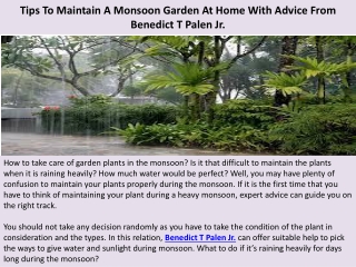 Tips To Maintain A Monsoon Garden At Home With Advice From Benedict T Palen Jr.