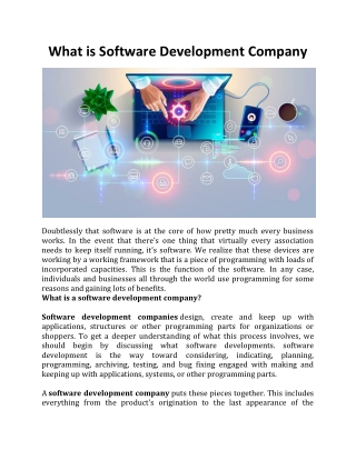 What is Software Development Company