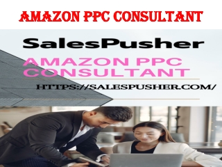 amazon PPC Consultant