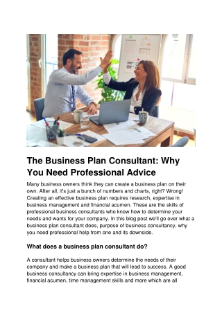 The Business Plan Consultant_ Why You Need Professional Advice