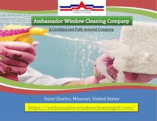 Fully Insured Window Cleaning Company