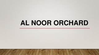 Al Noor Orchard